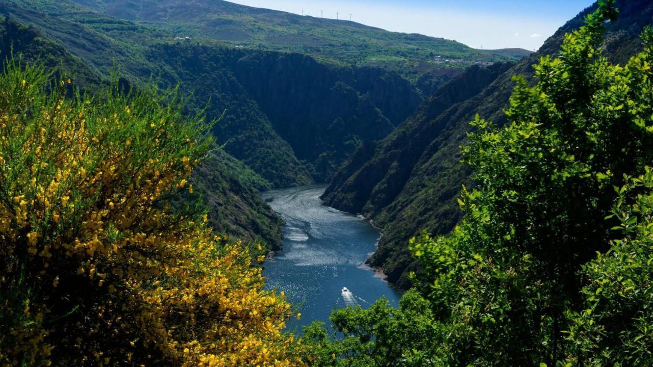 Morin Grey Casa En El Corazon De La Ribeira Sacra Villa Monforte De Lemos Exterior photo